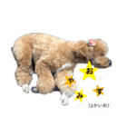 イヴりん♡♡（個別スタンプ：13）