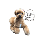 イヴりん♡♡（個別スタンプ：14）