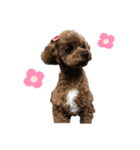 イヴりん♡♡（個別スタンプ：18）