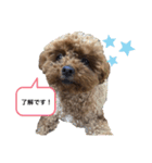 イヴりん♡♡（個別スタンプ：20）