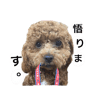 イヴりん♡♡（個別スタンプ：22）