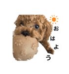 イヴりん♡♡（個別スタンプ：23）