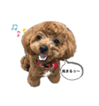 イヴりん♡♡（個別スタンプ：24）