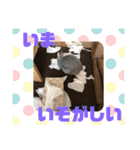 ぽこ様の下僕が使うスタンプ（個別スタンプ：1）