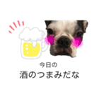 dogで使えるかも（個別スタンプ：6）