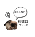 dogで使えるかも（個別スタンプ：7）