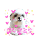 ぽっちくんたち（個別スタンプ：2）