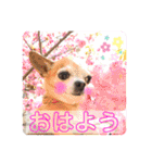 ぽっちくんたち（個別スタンプ：3）