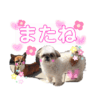 ぽっちくんたち（個別スタンプ：6）