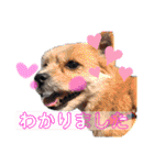 ぽっちくんたち（個別スタンプ：8）
