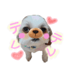ぽっちくんたち（個別スタンプ：9）