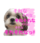 ぽっちくんたち（個別スタンプ：13）