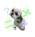 ぽっちくんたち（個別スタンプ：15）