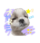 ぽっちくんたち（個別スタンプ：16）