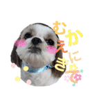 ぽっちくんたち（個別スタンプ：21）