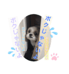 ぽっちくんたち（個別スタンプ：23）