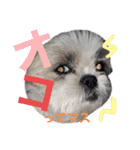 ぽっちくんたち（個別スタンプ：28）