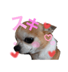 ぽっちくんたち（個別スタンプ：30）