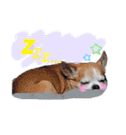 ぽっちくんたち（個別スタンプ：32）