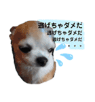 ぽっちくんたち（個別スタンプ：33）