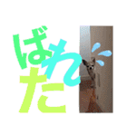 ぽっちくんたち（個別スタンプ：35）