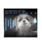 ぽっちくんたち（個別スタンプ：39）