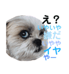 ぽっちくんたち（個別スタンプ：40）