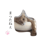 よこたとまるみ（個別スタンプ：18）