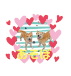 アニマルシェルタースタンプ（個別スタンプ：2）