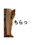 Mr RIKU（個別スタンプ：11）