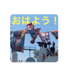 不動丸浩一スタンプ（個別スタンプ：5）
