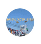 不動丸浩一スタンプ（個別スタンプ：8）