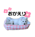みんなのはなちゃん♡（個別スタンプ：6）