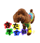 ♥︎dog’s Daizu♥︎Ⅱ（個別スタンプ：7）