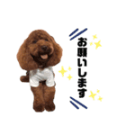 ♥︎dog’s Daizu♥︎Ⅱ（個別スタンプ：9）