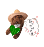 ♥︎dog’s Daizu♥︎Ⅱ（個別スタンプ：10）