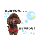 ♥︎dog’s Daizu♥︎Ⅱ（個別スタンプ：14）