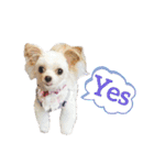 なっつ♡ぴのんスタンプEnglish ver.②（個別スタンプ：3）