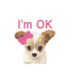 なっつ♡ぴのんスタンプEnglish ver.②（個別スタンプ：16）