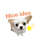 なっつ♡ぴのんスタンプEnglish ver.②（個別スタンプ：35）