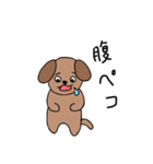 日常わん太（個別スタンプ：4）