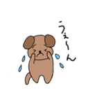 日常わん太（個別スタンプ：33）
