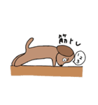 日常わん太（個別スタンプ：38）