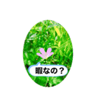 毒舌な絶景（個別スタンプ：3）