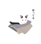 めいっこと猫（個別スタンプ：4）