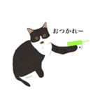 めいっこと猫（個別スタンプ：8）