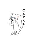 シャイ猫（個別スタンプ：1）