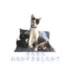 ほくろファミリー❷（個別スタンプ：4）