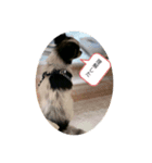 犬のスタンプ方言バラバラ編（個別スタンプ：2）
