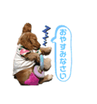 イングリッシュコッカー クリム ゆる敬語（個別スタンプ：4）